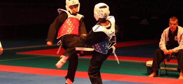 WKF 4th Nordic Hapkido Cup and Seminar – Sweden WKF 4th Nordic Hapkido Cup and Seminar – Sweden